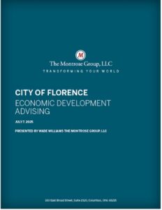 Redevelopment plan action steps.